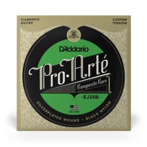 D'ADDARIO PRO ARTE EJ25B