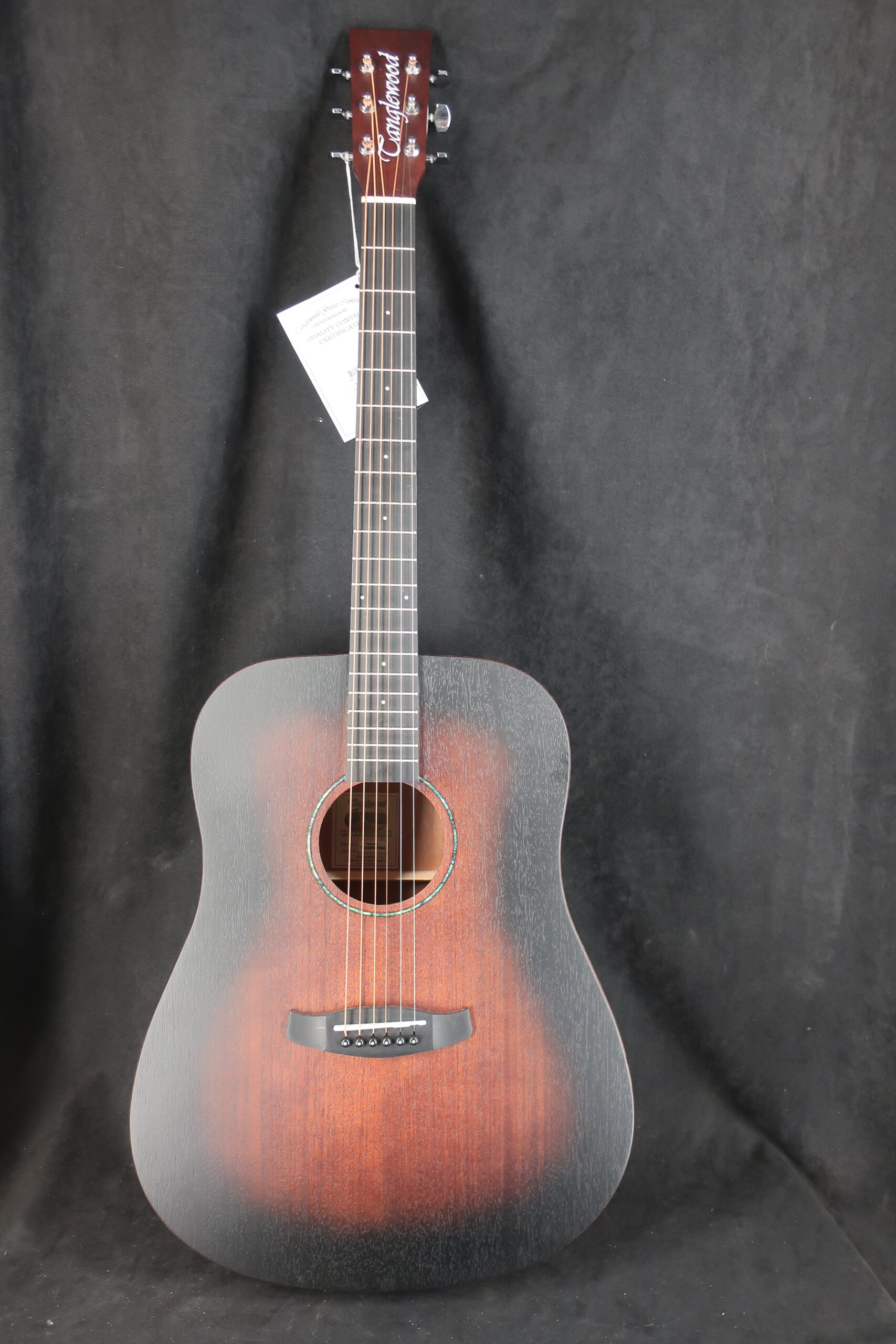 Guitare Acoustique TANGLEWOOD Crossroads 1