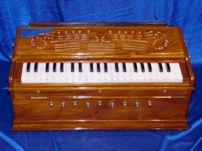 Harmonium modèle deux voix en housse 1