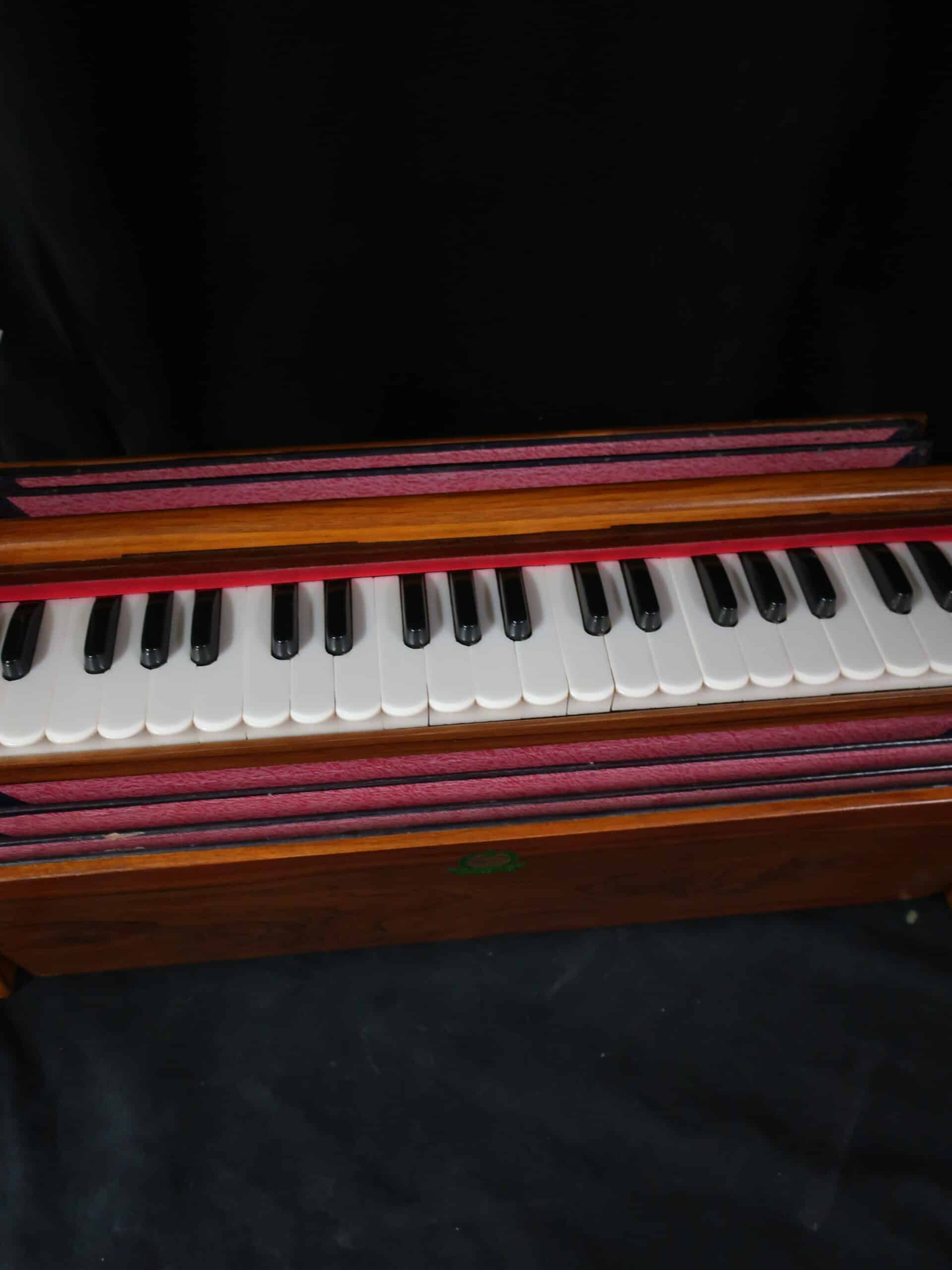 HARMONIUM INDIEN - MODELE DOLCETINA pick et boch