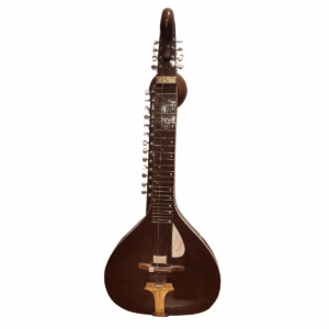 VINA / HANSA VEENA MONOJ AVEC ÉTUI