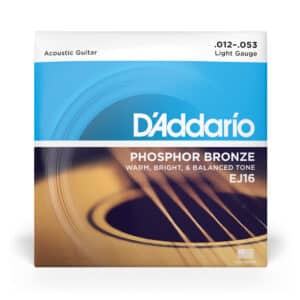 D'ADDARIO PHOSPHOR BRONZE LIGHT 12/53