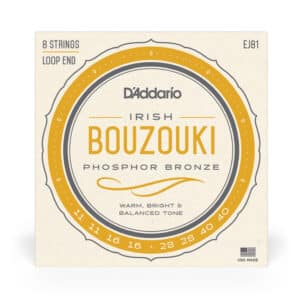 D'ADDARIO BOUZOUKI IRLANDAIS EJ81