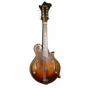 MANDOLINE EASTMAN F-HOLES MD315 AVEC HOUSSE