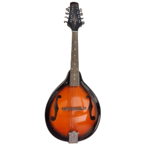 MANDOLINE STAGG M20