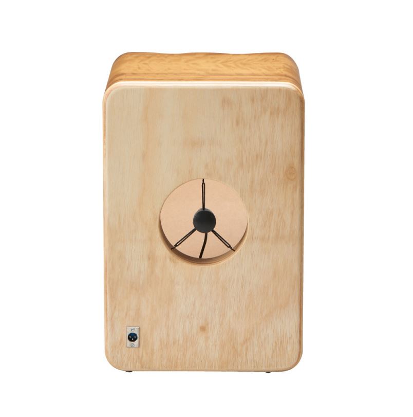 cajon_elephant_arriere