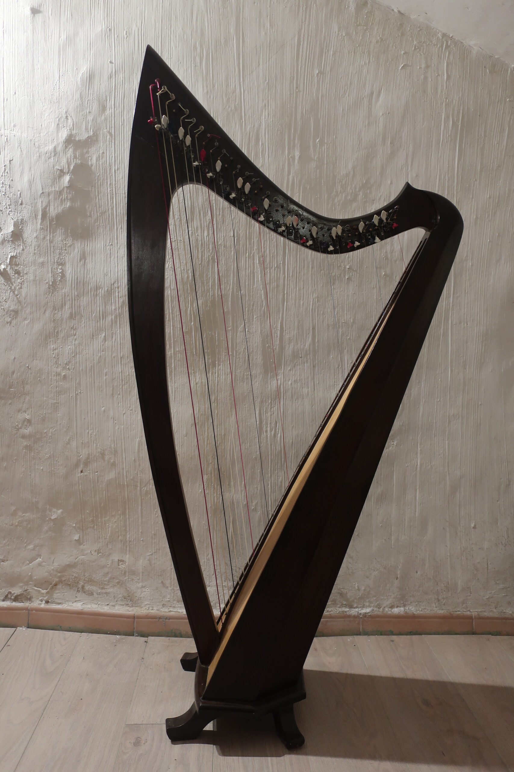 harpe celtique 36 cordes 1