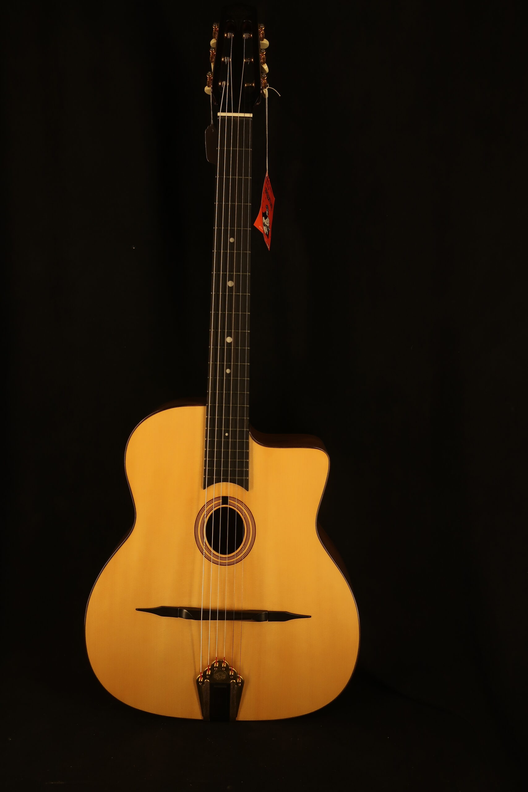 Guitare jazz manouche Altamira M20 en étui 1