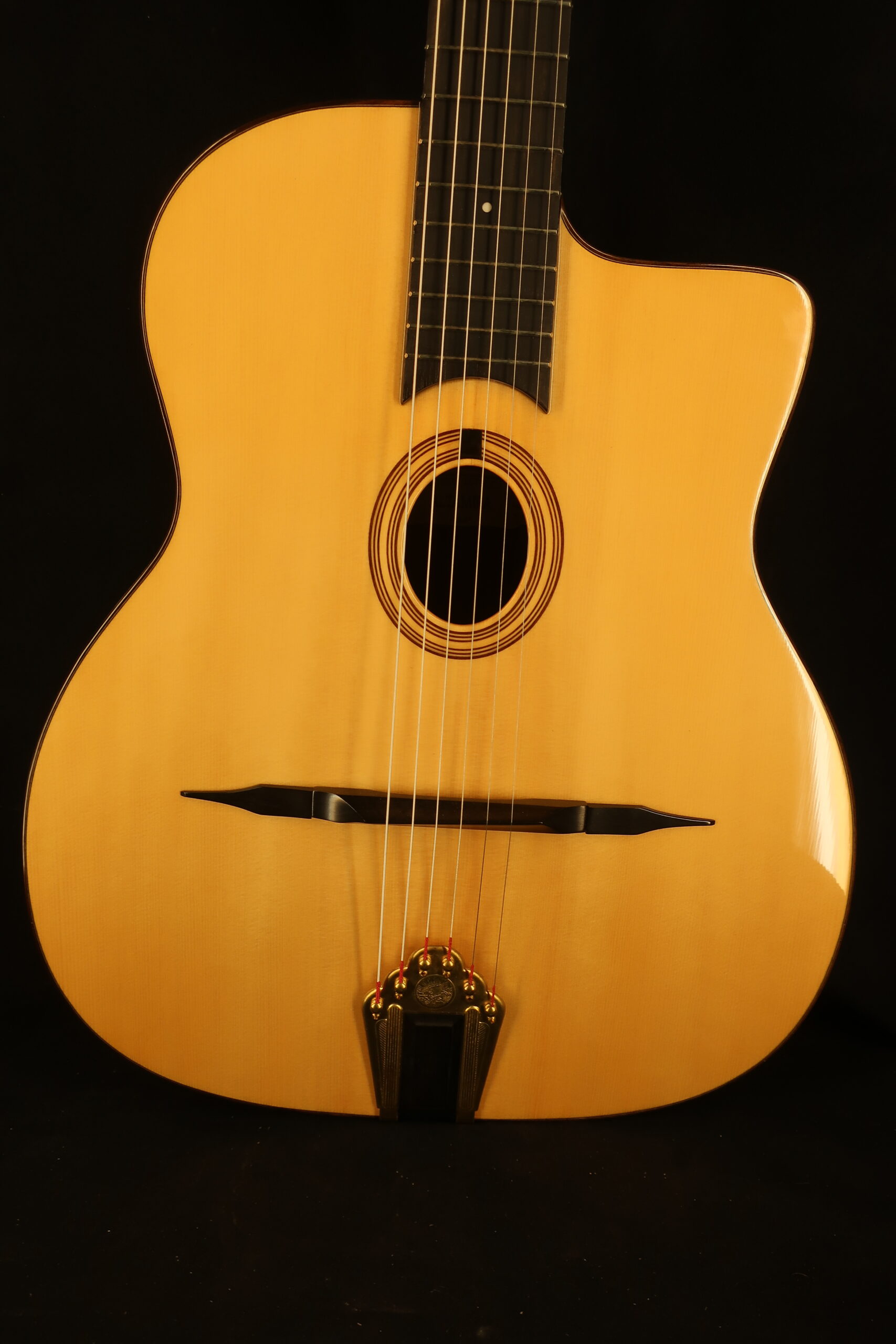 Guitare jazz manouche Altamira M20 en étui 2