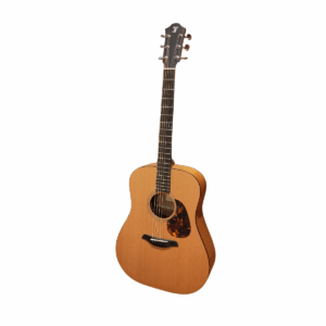 GUITARE FURCH BLUE DC-SW