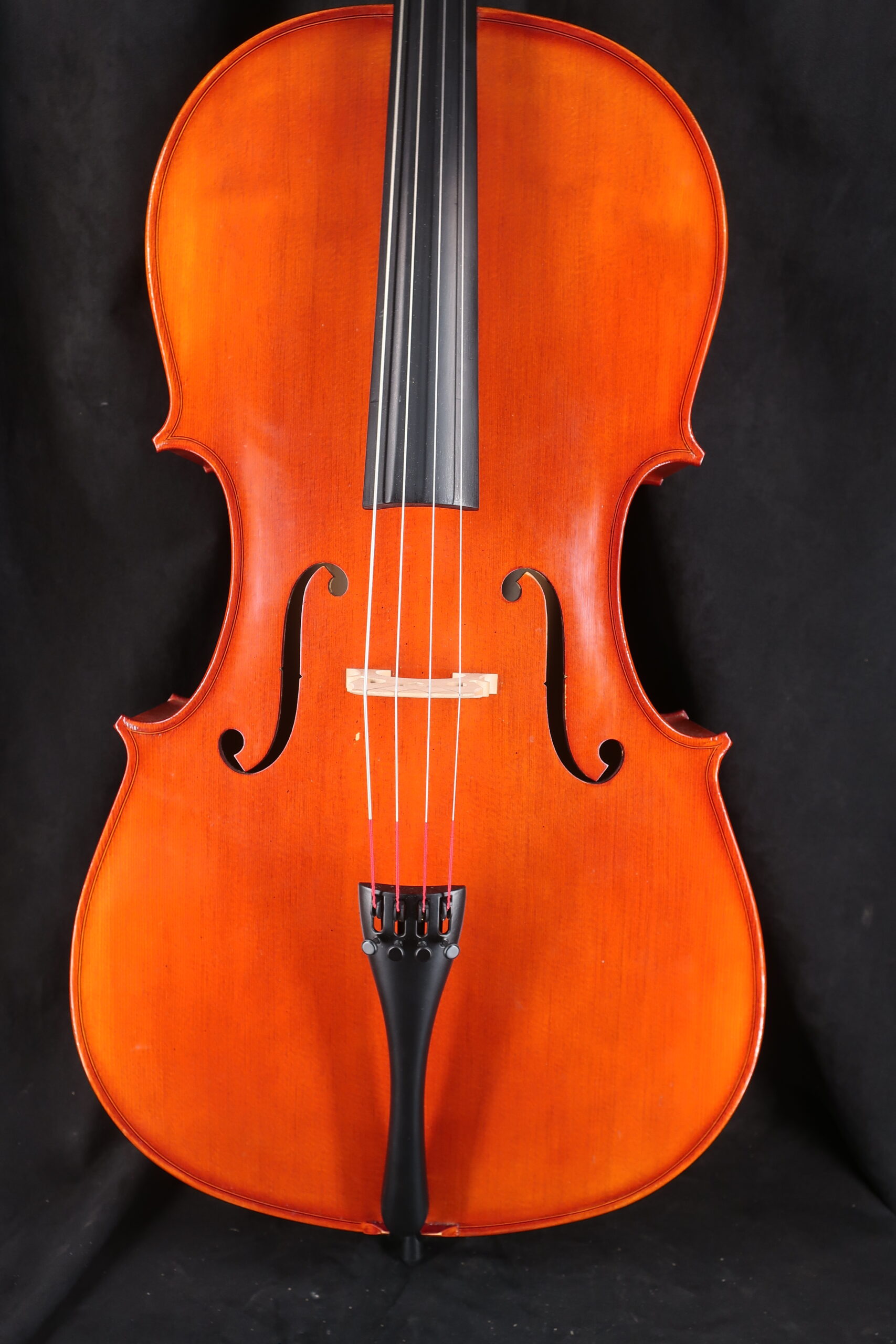 Violoncelle entier avec housse et archet 9798 1