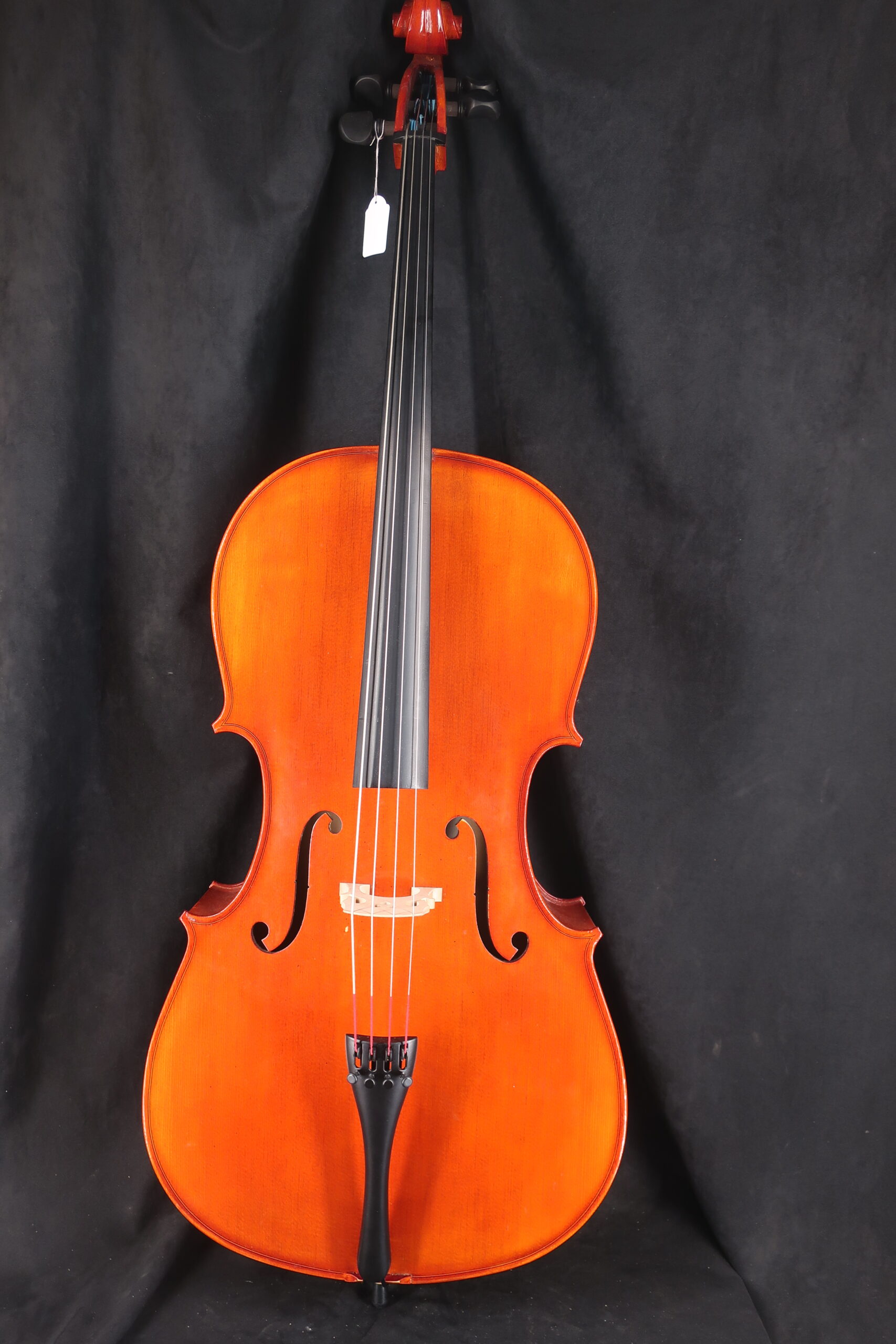 Violoncelle entier avec housse et archet 9798 2