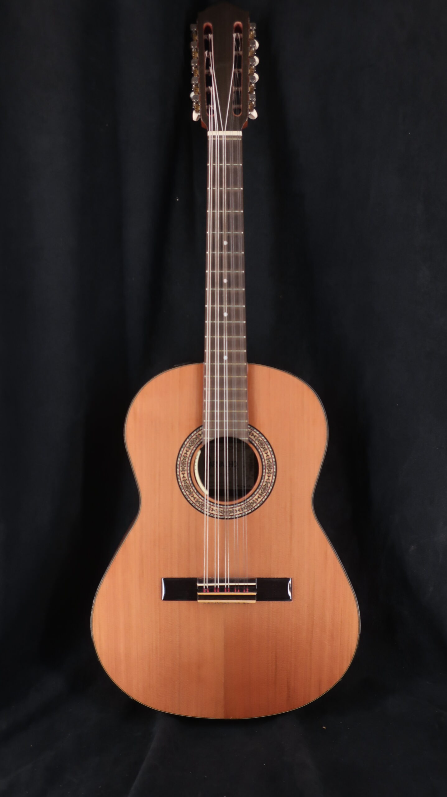 guitare bresilienne 10 cordes caipira 2