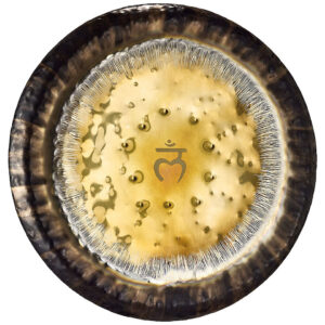 GONG MEINL 1E CHAKRA RACINE - JOUR