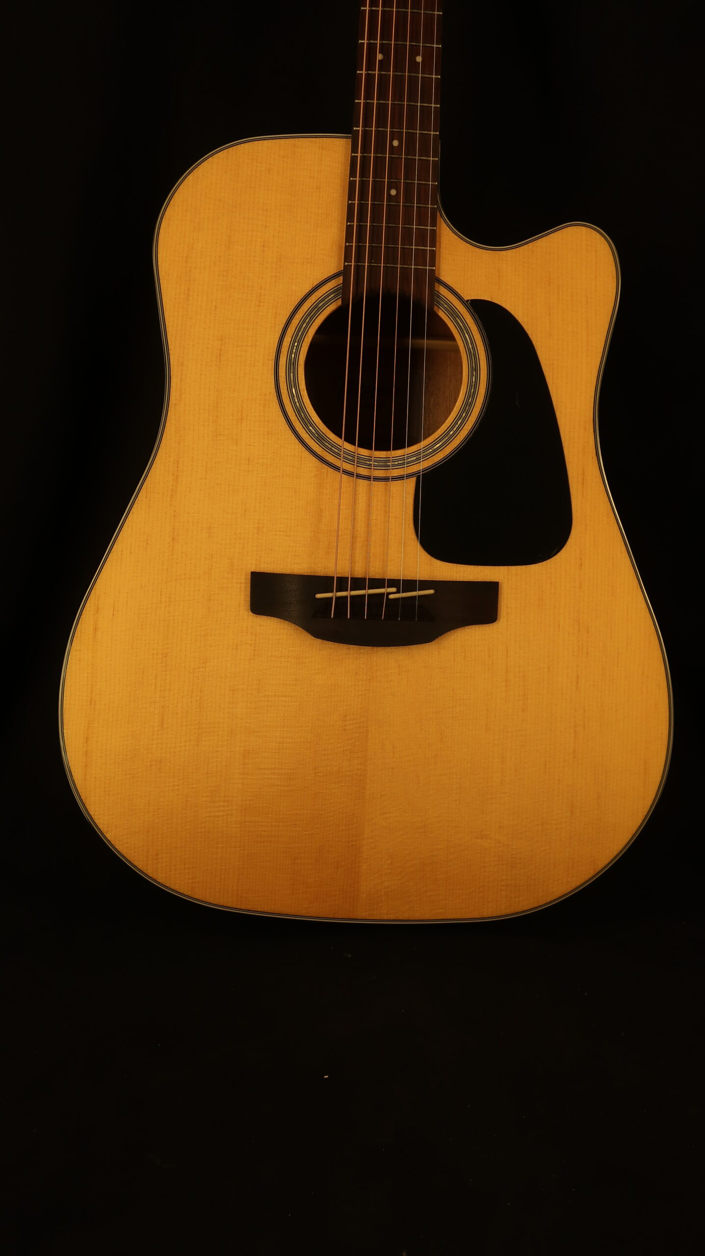 Guitare folk Takamine electro GD30CE en étui Gator 1