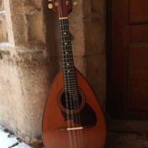 Mandoline concert Suzuki 1975 fond bombé