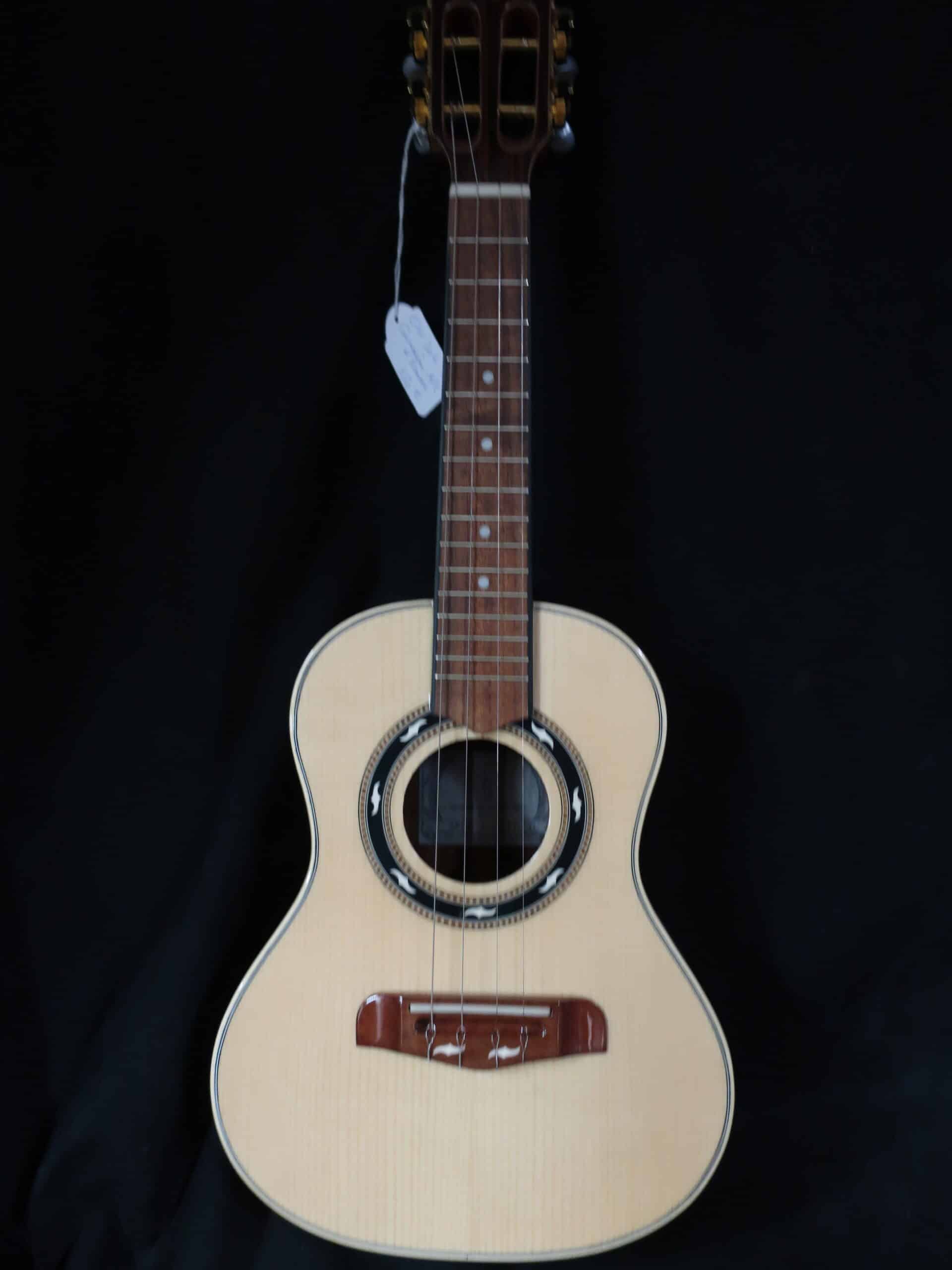 Cavaquinho Brésilien APCBR130 en étui
