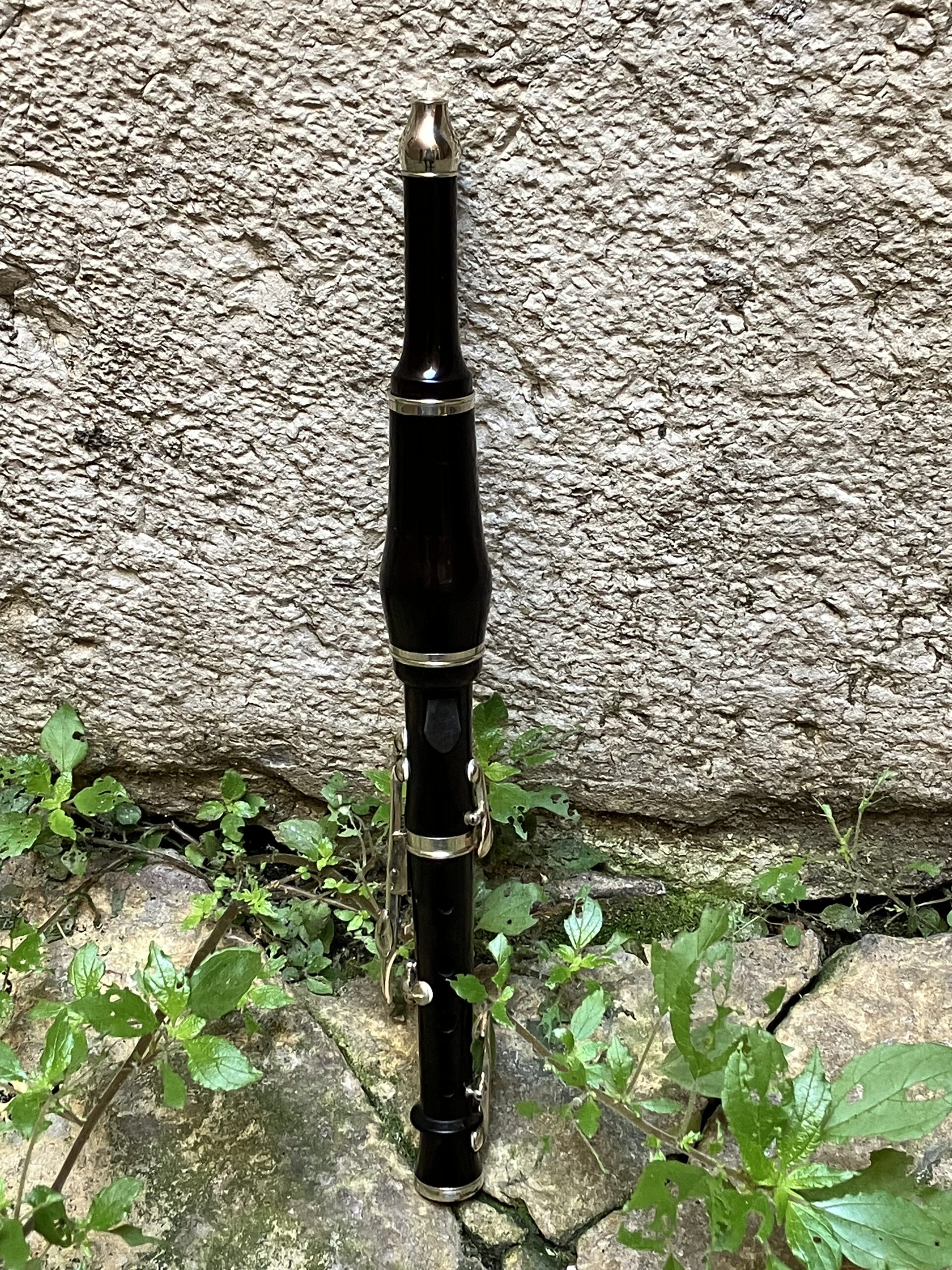 flageolet 11272 5