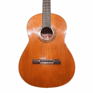 GUITARE D'OCCASION TAKEHARU EN HOUSSE