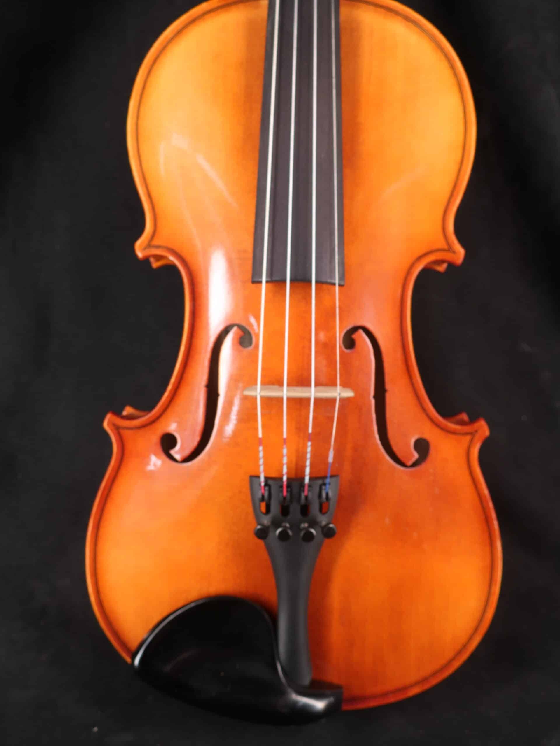 Violon Dvorak en etui et archet 1