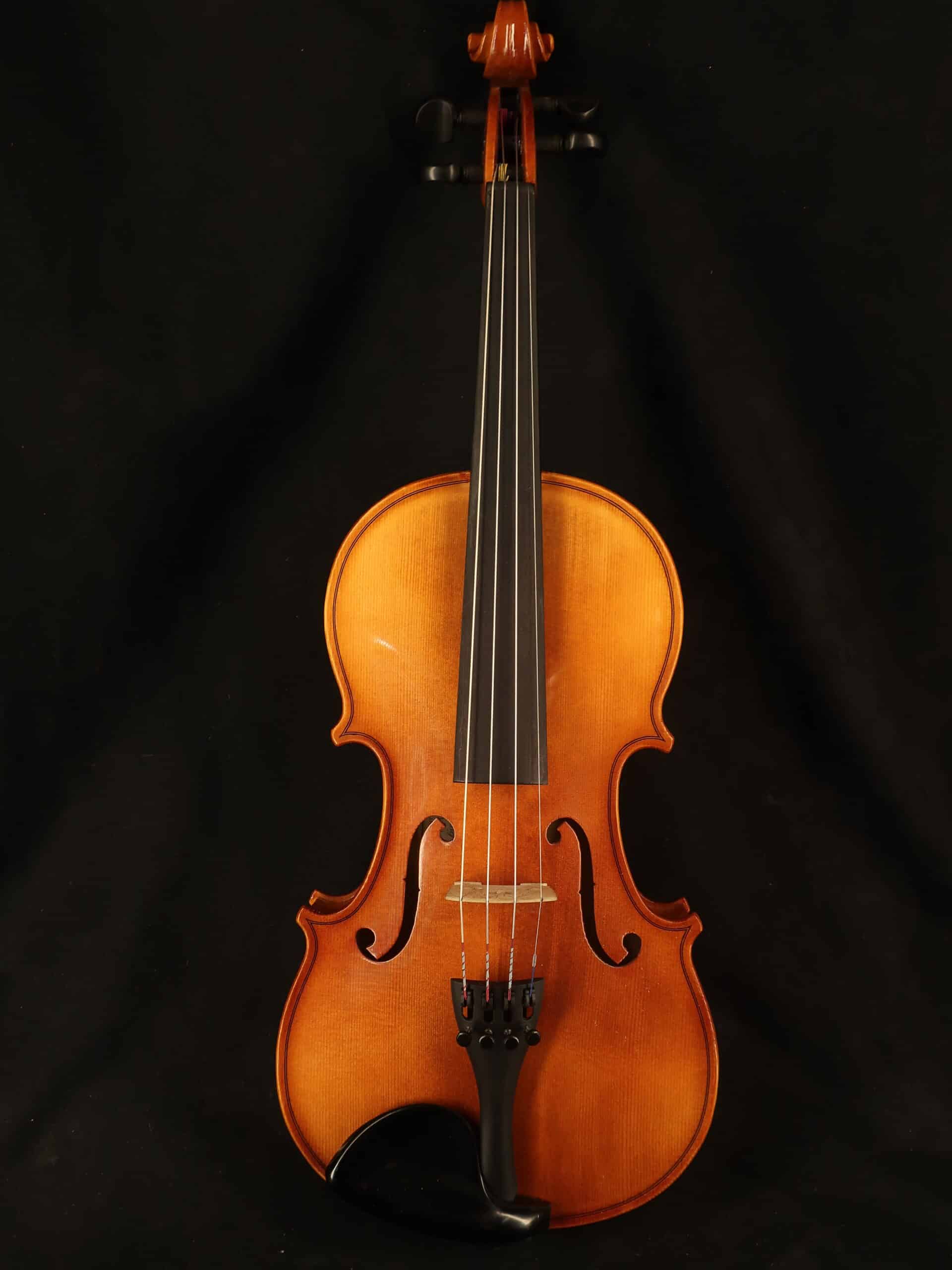 Violon Dvorak en etui et archet