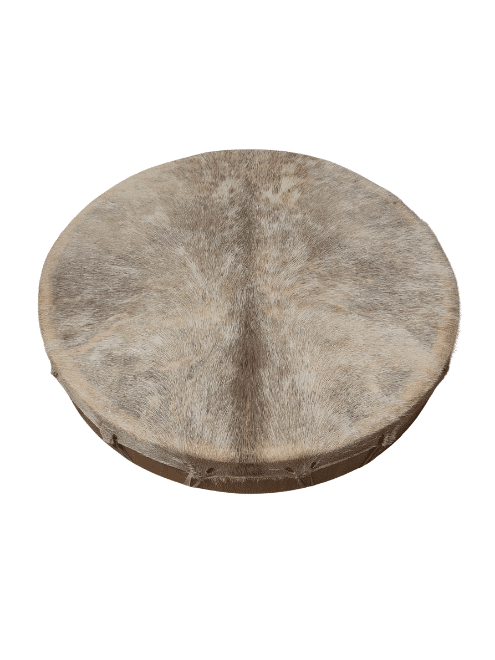 Tambours chamaniques