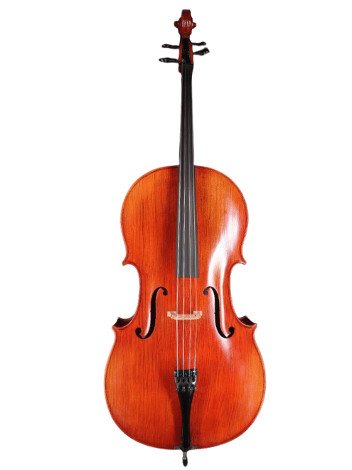 Violoncelles
