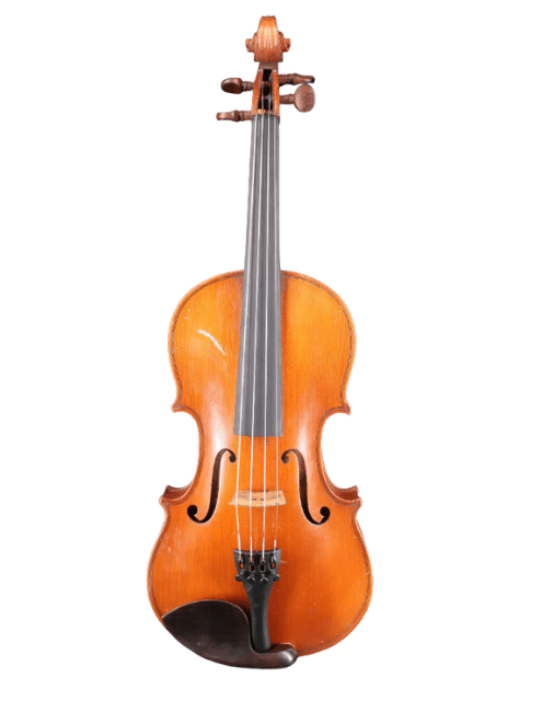 Violons adulte