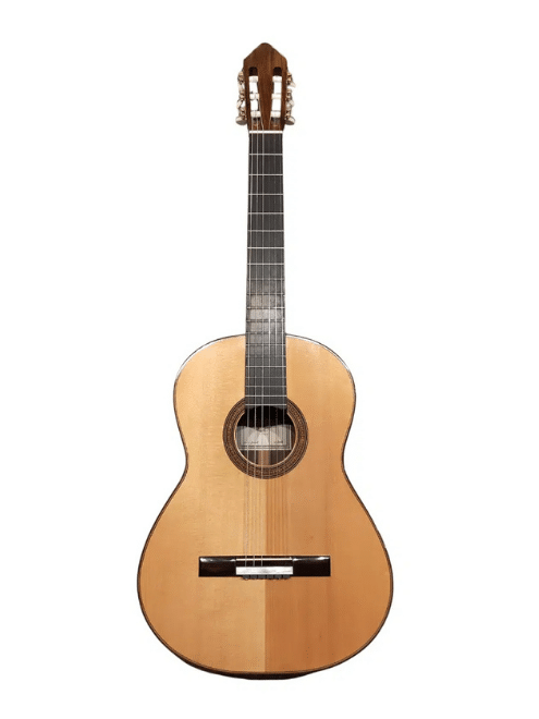 Guitares haut de gamme